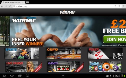 Winner Real Money Casino截图1