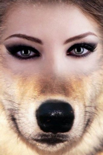 Animal Face Photo Maker截图4