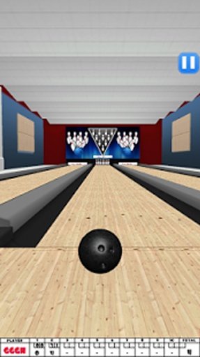 Bowling Game 3D截图6