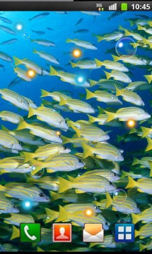 Lagoon Fishes live wallpaper截图2