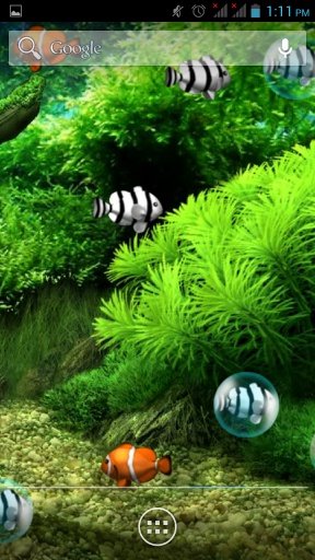 Bubble Fish Live Wallpaper截图2