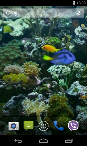 Aquarium Video Live Wallpaper截图1