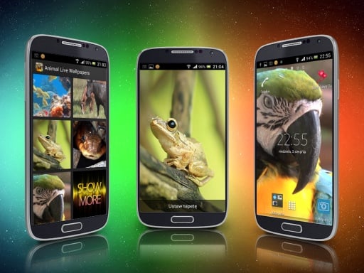 Animal Live Wallpapers截图6