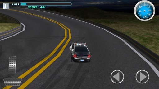 Mad Cop Drift Special Edition截图5