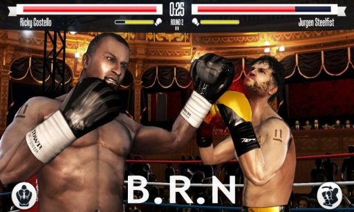 BOXING REVENGE (NEW)截图1