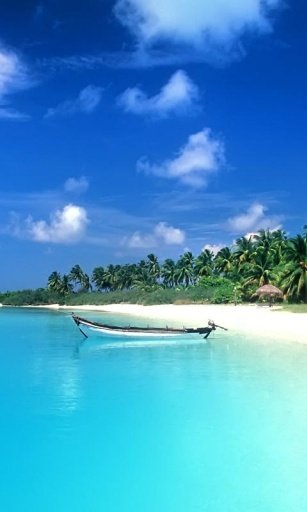 Beach Wallpapers截图3