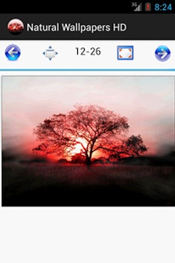 Natural Wallpapers HD截图5