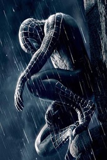 SpiderMan HD Wallpaper截图2