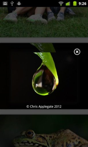 Chris Applegate Photography 摄影截图6