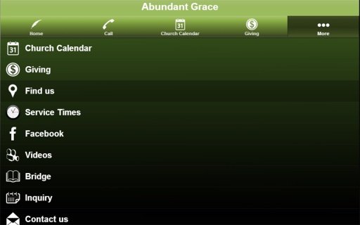 Abundant Grace截图2