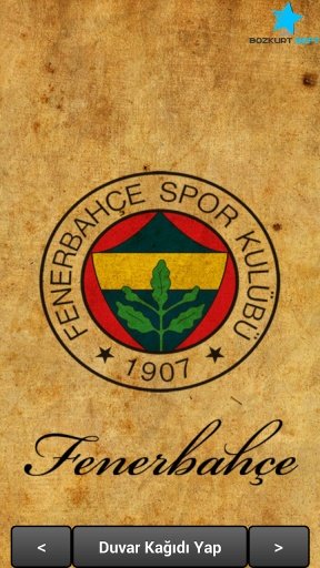 Fenerbahce HD Duvar Kağıtları截图4