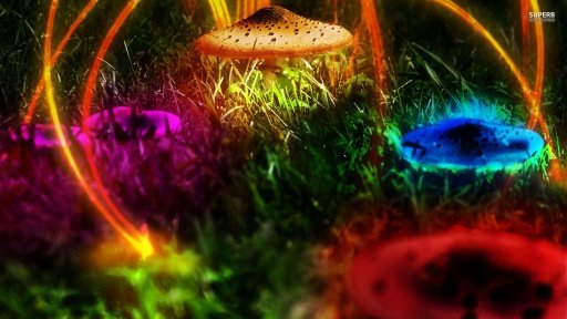 Amazing 3D Mushroom Free HD截图5