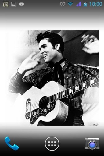 Elvis Presley Wallpaper截图2