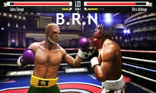 BOXING REVENGE (NEW)截图2