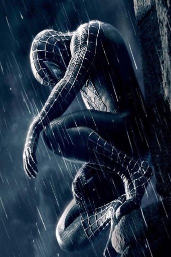 SpiderMan HD Wallpaper截图4