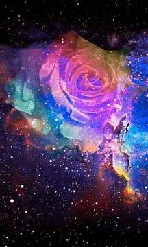 玫瑰炫彩星空动态壁纸截图