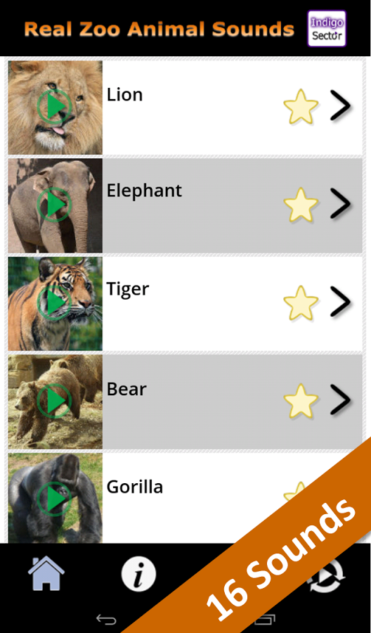 Real Zoo Animal Sounds截图1