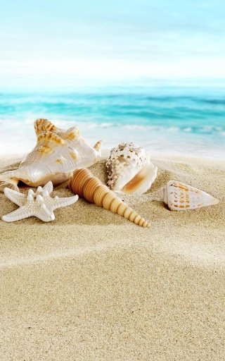 Sea Shells Tale Live Wallpaper截图1