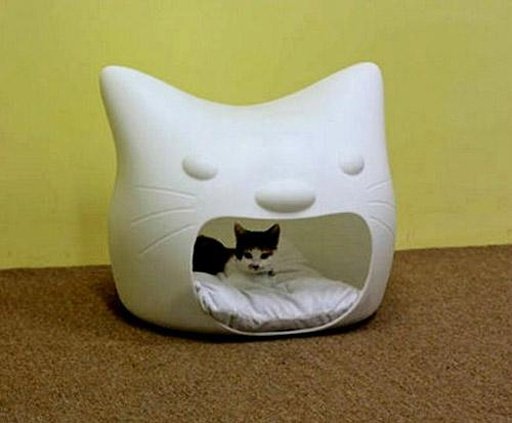 Pets House Design截图3