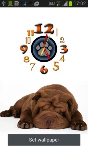 Shar Pei Clock截图2