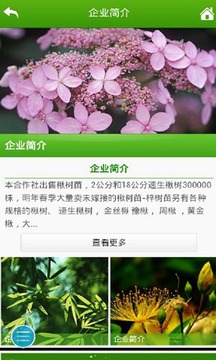 中国花木APP截图