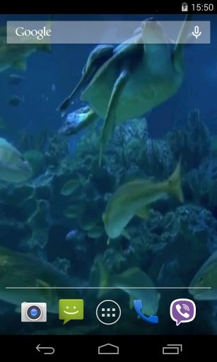 Real Aquarium Video Wallpaper截图1