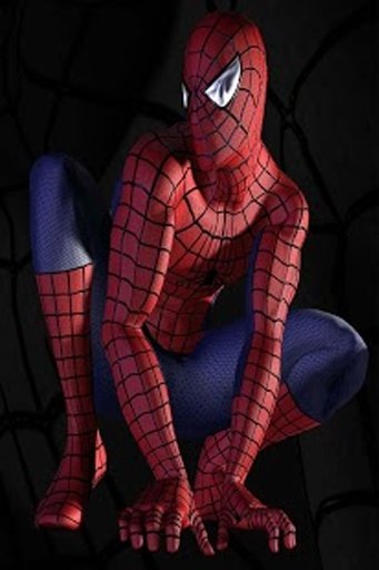 SpiderMan HD Wallpaper截图5