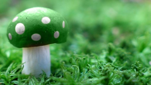 Amazing 3D Mushroom Free HD截图3