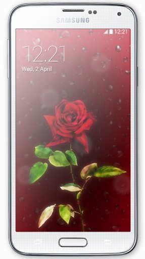 Red Rose HD Live Wallpaper截图2