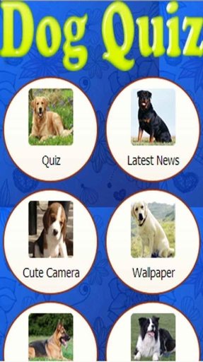 Dog Quiz!截图3