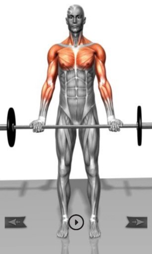 muscle exercises &amp; fitness截图6