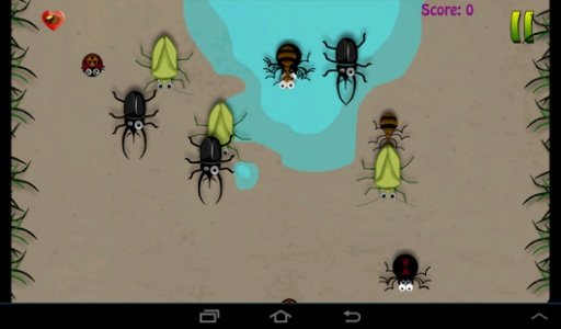 Bug Splash Free截图5