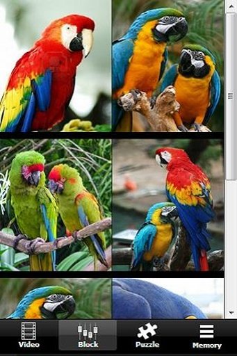 Annoy Parrot截图3