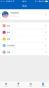 P洗车截图6