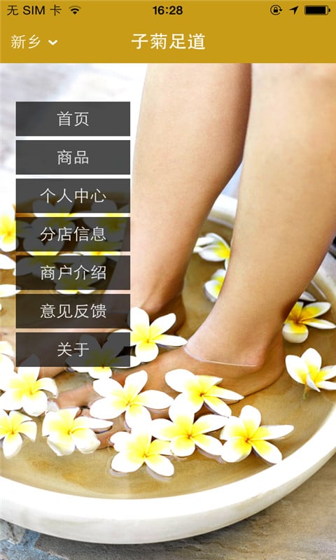 子菊足道截图5