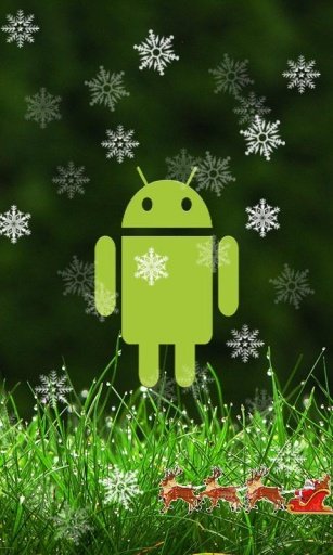 Top Xmas Wallpaper截图1