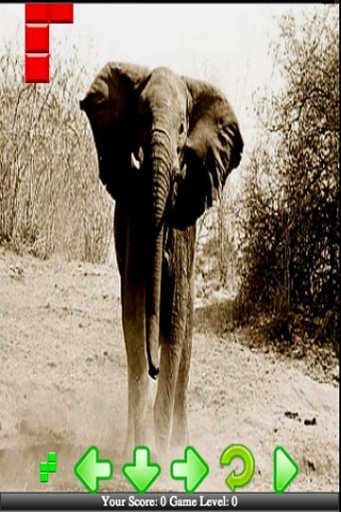 Elephant Hunt Hunter 2014截图3