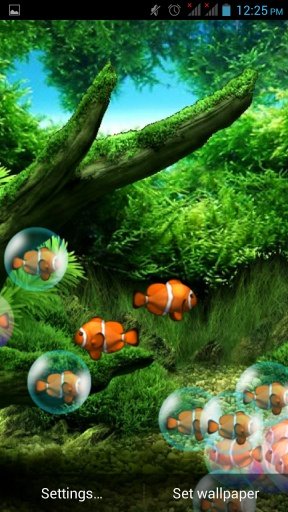 Bubble Fish Live Wallpaper截图6