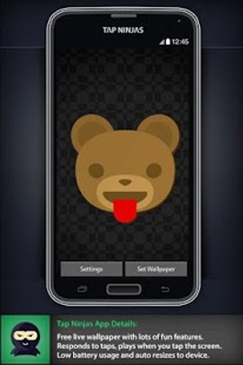 Cartoon Bears截图1