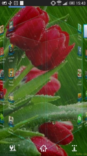 Rain Rose Live Wallpaper截图5