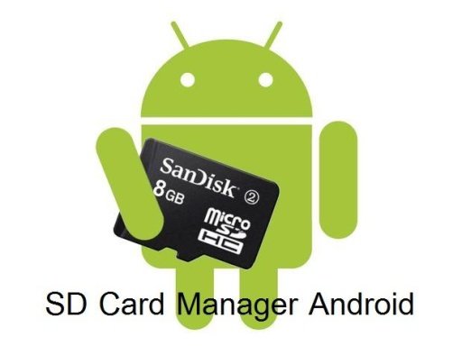 SD Card Manager Android截图2