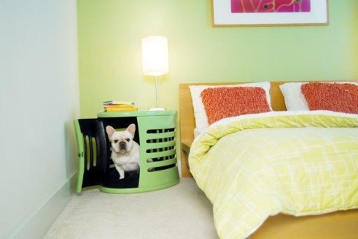 Pets House Design截图2