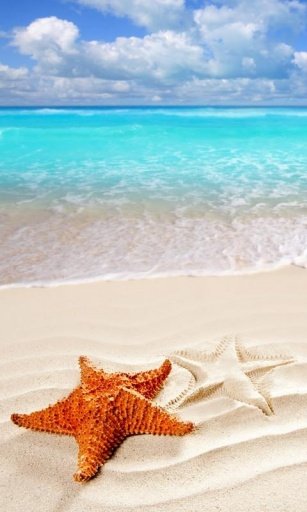 Beach Wallpapers截图1