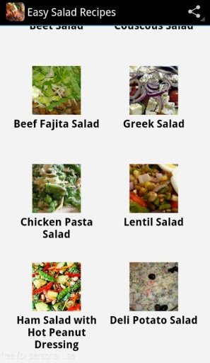 Easy Salad Recipes截图2