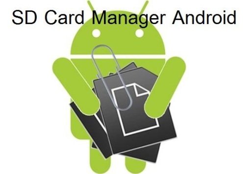 SD Card Manager Android截图1