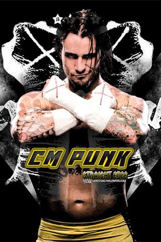 WWE SUPERSTAR CM PUNK截图2