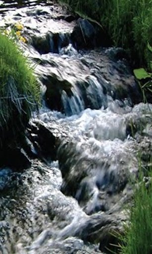 flowing river live wallpaper截图3