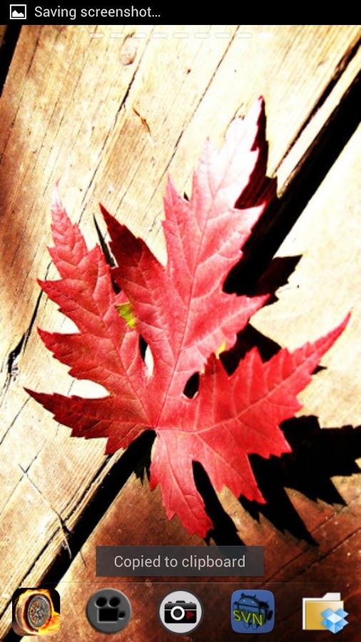 Autumn Mood Live Wallpaper截图3