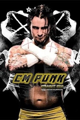 WWE SUPERSTAR CM PUNK截图8