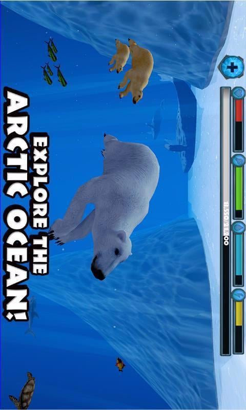 北极熊截图2